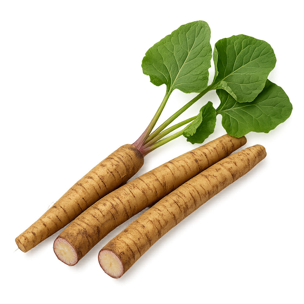 Burdock Root